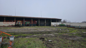 ������ ������� ������ ����