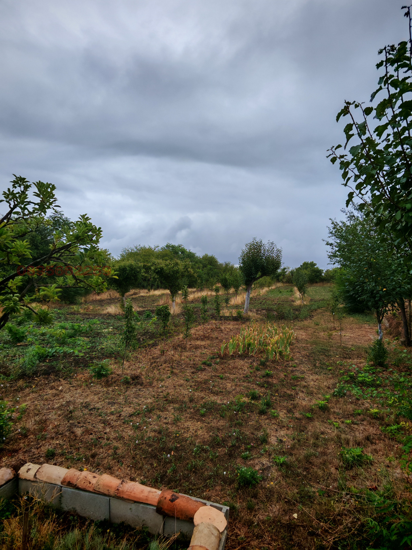 Продава КЪЩА | Imot.bg — изображение 4