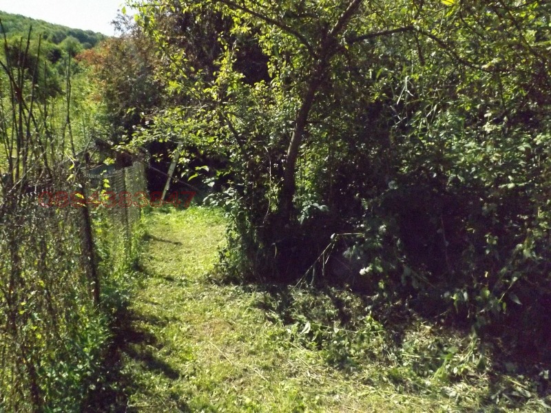 Продава КЪЩА, с. Чифлик, област Ловеч, снимка 5 - Къщи - 53242488