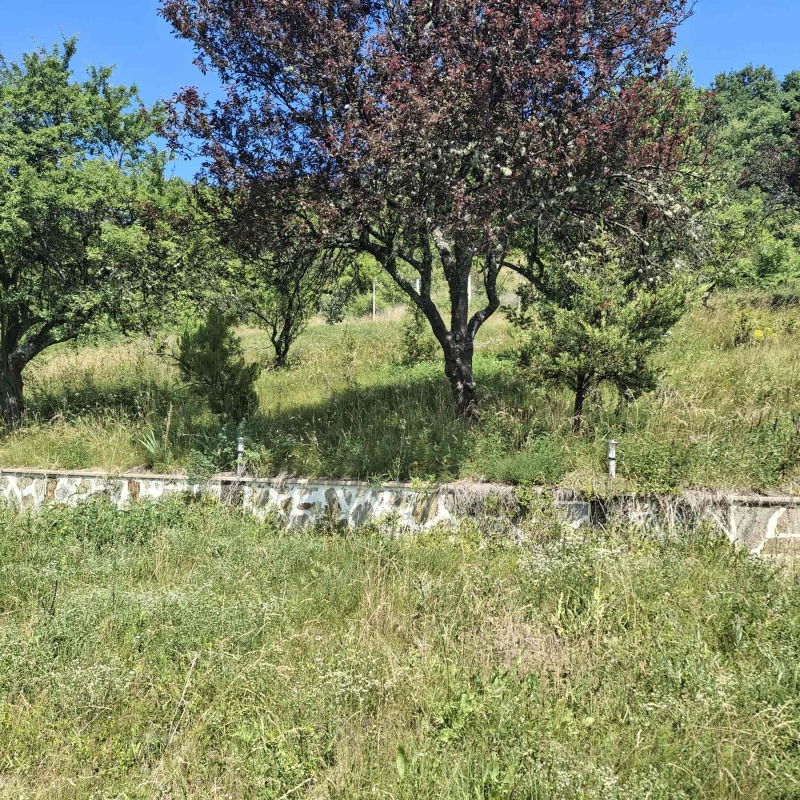 Продава  Къща област Перник , с. Косача , 80 кв.м | 28227952 - изображение [14]