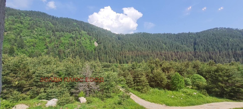 Te koop  2 slaapkamers regio Sofia , k.k. Borovets , 95 m² | 68617625 - afbeelding [10]