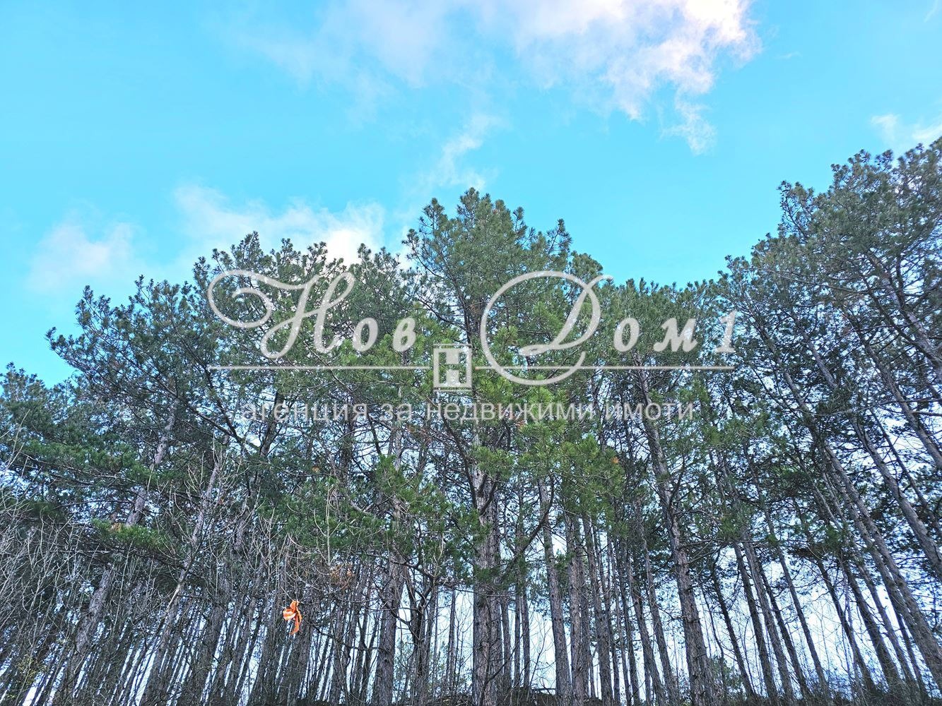 ������� 2-����� | Imot.bg � ����������� 11