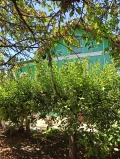 Продава КЪЩА, с. Долна Липница, област Велико Търново, снимка 8