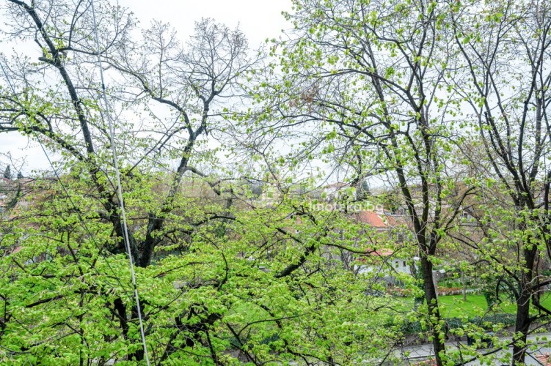 For Sale  1 bedroom Plovdiv , Tsentar , 76 sq.m | 42674741 - image [8]