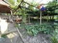 Продава КЪЩА, с. Градище, област Шумен, снимка 2