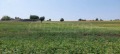 Продава ПАРЦЕЛ, Извън страната, област Извън страната, снимка 6