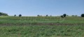 Продава ПАРЦЕЛ, Извън страната, област Извън страната, снимка 2