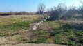 Продава ПАРЦЕЛ, област Бургас, с. Лозенец • 51000 € • 36784516 — Holmes.bg