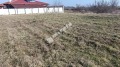Продава ПАРЦЕЛ, област Бургас, с. Лозенец • 51000 € • 36784516 — Holmes.bg