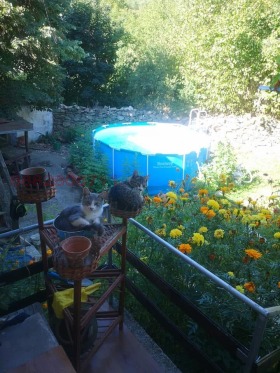 ������� ���� | Imot.bg � ����� ������ 6