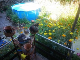 ������� ���� | Imot.bg � ����� ������ 5