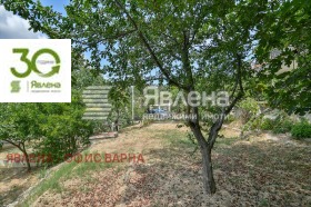 ������ ������� ������