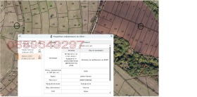 ����� ������� ������,���� �����, �. �������