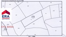 ����� ������� ������,���� �����, ����� ����