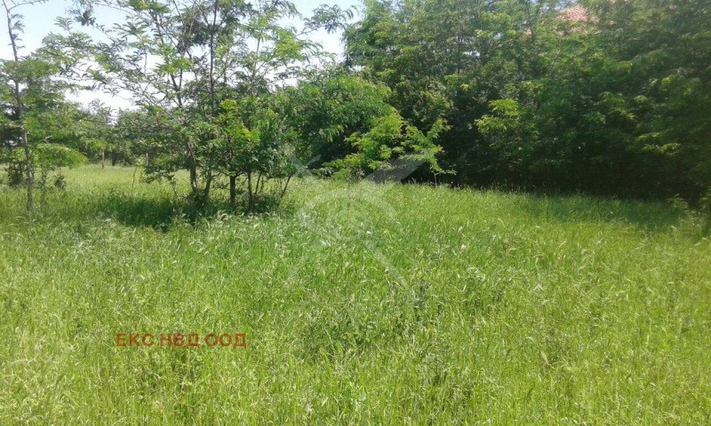 Продава ПРОМ. ПОМЕЩЕНИЕ, с. Черноземен, област Пловдив, снимка 6 - Производствени сгради - 52149431