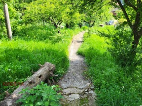 House Dren, region Pernik 8