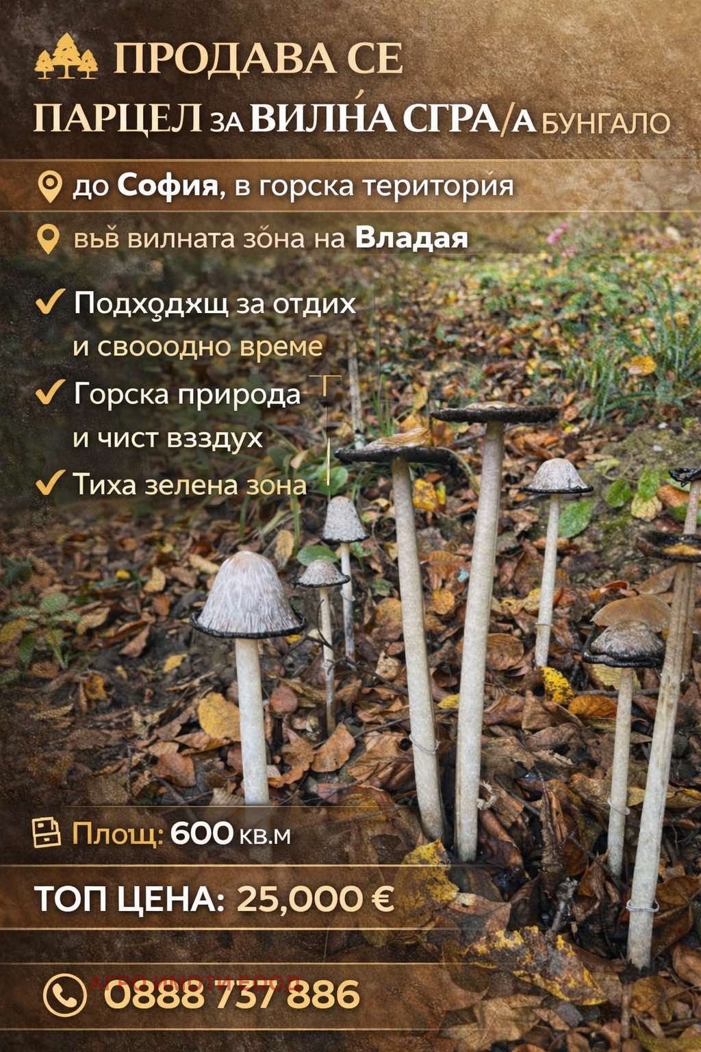 ������� ������ | Imot.bg � ����������� 1