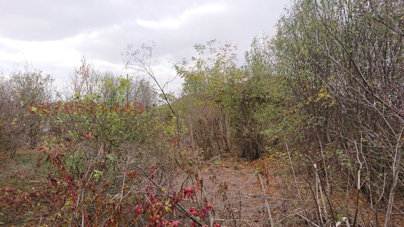 Продава КЪЩА, с. Недан, област Велико Търново, снимка 6 - Къщи - 52785285