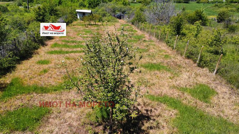 Продава  Парцел област Бургас , гр. Ахтопол , 986 кв.м | 45791696 - изображение [2]