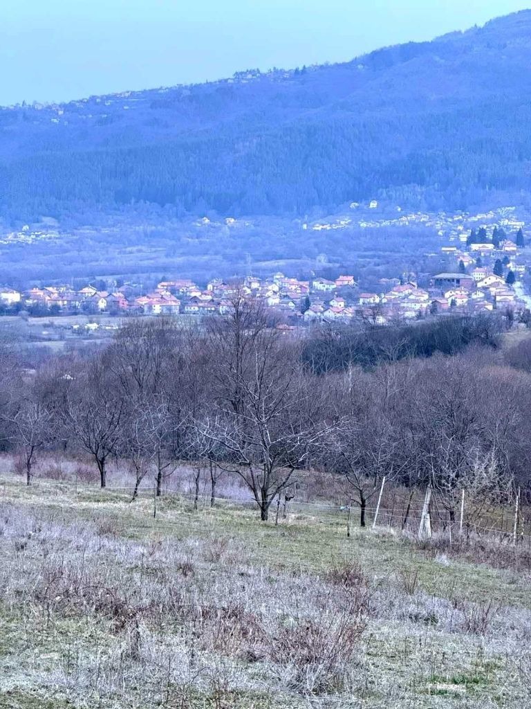 Продава ПАРЦЕЛ, с. Горна Брестница, област Кюстендил, снимка 5 - Парцели - 53736425