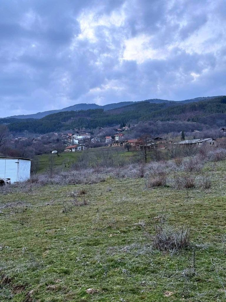Продава ПАРЦЕЛ, с. Горна Брестница, област Кюстендил, снимка 4 - Парцели - 53736425