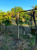 Продава КЪЩА, с. Загражден, област Плевен, снимка 6