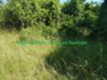Продава ПАРЦЕЛ, с. Долни Романци, област Перник, снимка 11