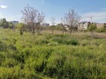 Продава ПАРЦЕЛ, град София, Дървеница • 175000 € • 42942516 — Holmes.bg
