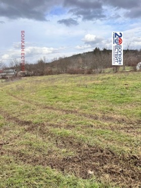 ����� ������� ������,�. ����� ���, ������ ������ �������