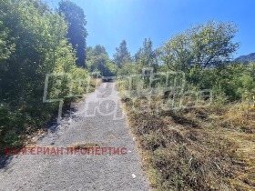 ������� ������ | Imot.bg � ����� ������ 8