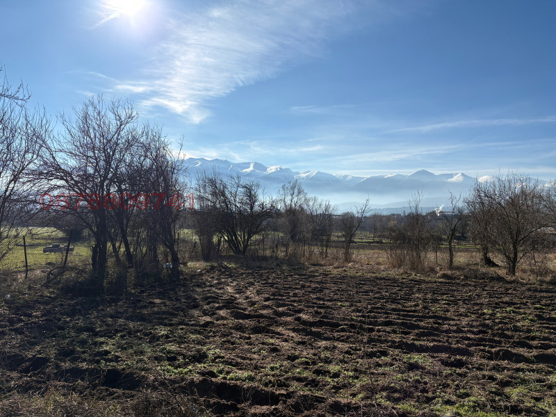 Продава ПАРЦЕЛ, с. Бачево, област Благоевград, снимка 3 - Парцели - 52783226