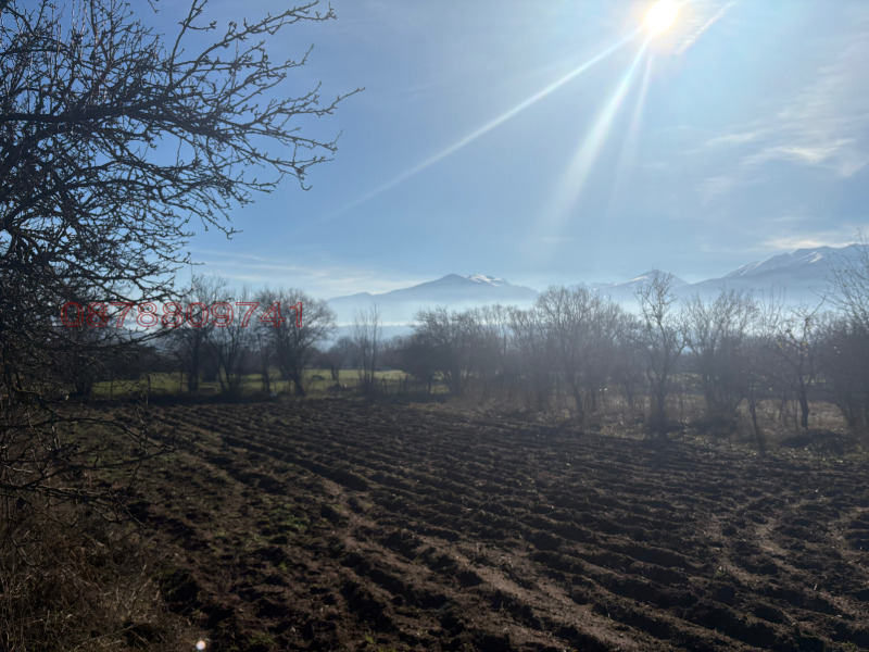 Продава ПАРЦЕЛ, с. Бачево, област Благоевград, снимка 11 - Парцели - 52783226