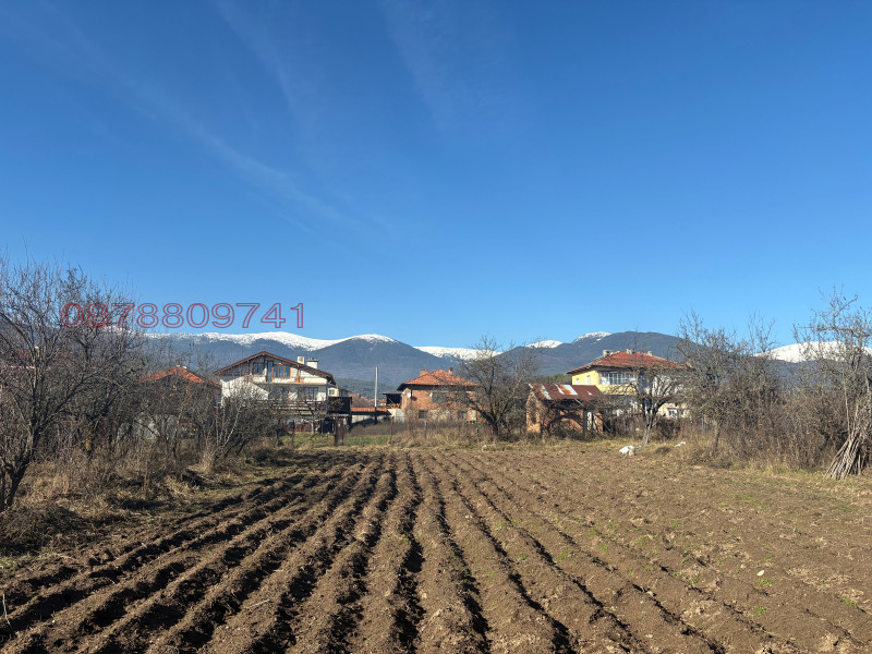 Продава ПАРЦЕЛ, с. Бачево, област Благоевград, снимка 8 - Парцели - 52783226