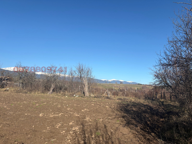 Продава ПАРЦЕЛ, с. Бачево, област Благоевград, снимка 6 - Парцели - 52783226