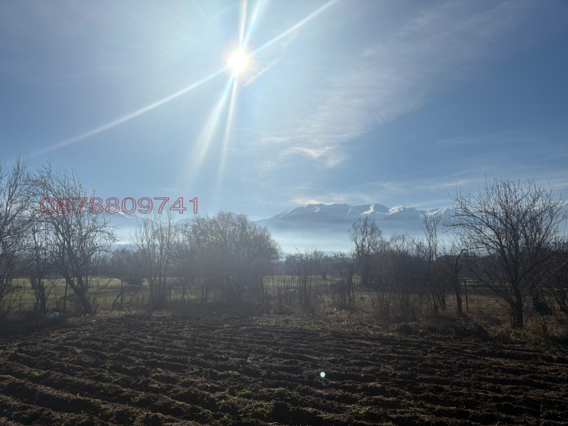 Продава ПАРЦЕЛ, с. Бачево, област Благоевград, снимка 10 - Парцели - 52783226