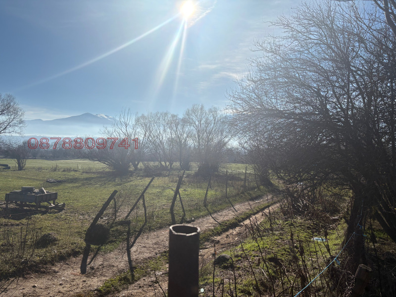 Продава ПАРЦЕЛ, с. Бачево, област Благоевград, снимка 7 - Парцели - 52783226