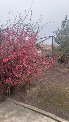 σπίτι Μανολσκο Κοναρε, περιοχή Plovdiv 9