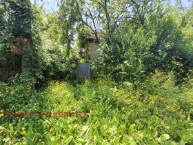 ������� ���� | Imot.bg � ����� ������ 12