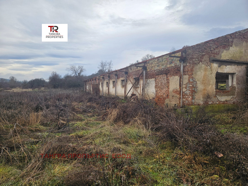 Продава ПРОМ. ПОМЕЩЕНИЕ, с. Светля, област Перник