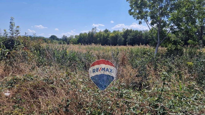 For Sale  Plot region Plovdiv , Yagodovo , 13003 sq.m | 12649890 - image [6]