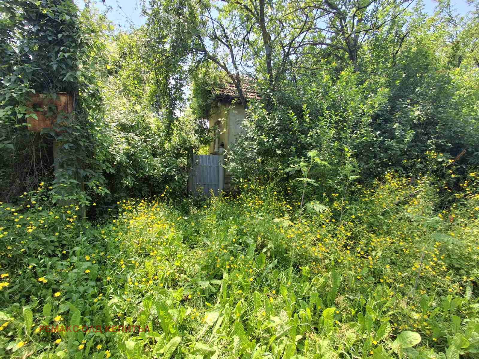 Продава КЪЩА, с. Пчелище, област Велико Търново, снимка 12 - Къщи - 54819790