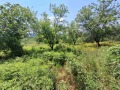 Продава КЪЩА, с. Пчелище, област Велико Търново, снимка 17