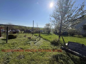 ����� ������� ������,�. �������, ������ ������