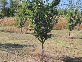 ������� ������ | Imot.bg � ����� ������ 6