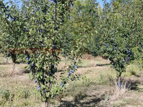 ������� ������ | Imot.bg � ����� ������ 4