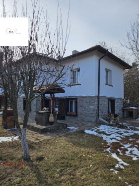 Hus Noevtsi, region Pernik 1