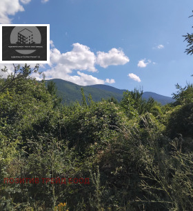 Handlung Saparewa banja, region Kjustendil