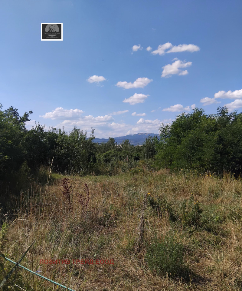 Zu verkaufen  Handlung region Kjustendil , Saparewa banja , 3150 qm | 48190582 - Bild [2]