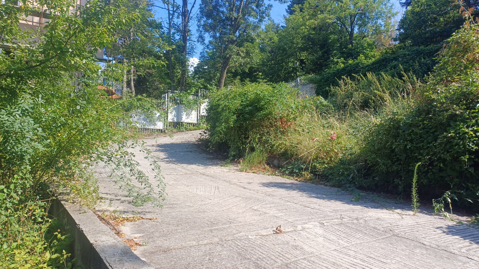 Продава ПАРЦЕЛ, гр. София, Бояна, снимка 3 - Парцели - 54260648