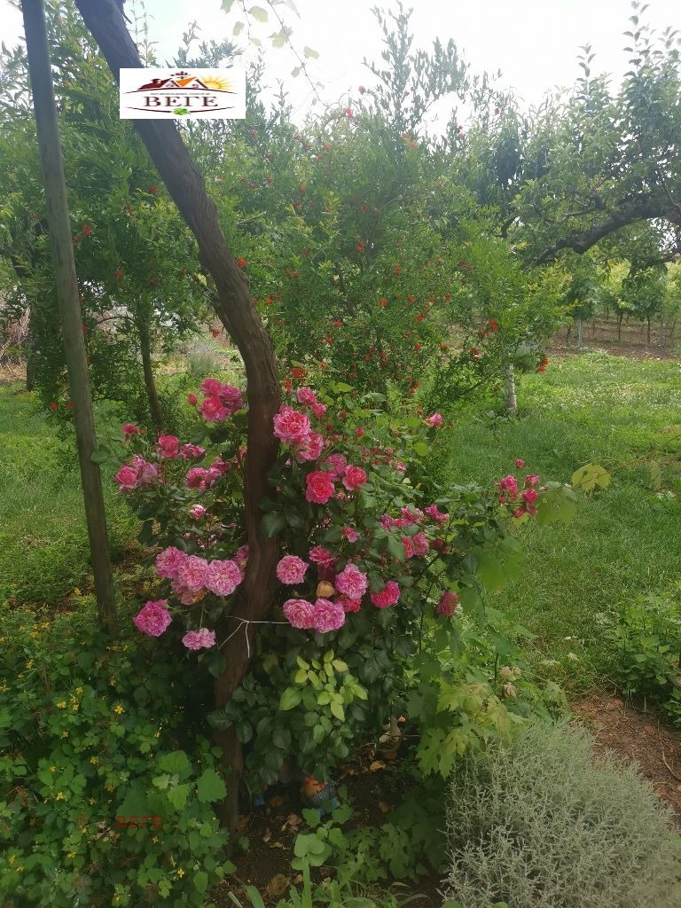 ������� ������ | Imot.bg � ����������� 1